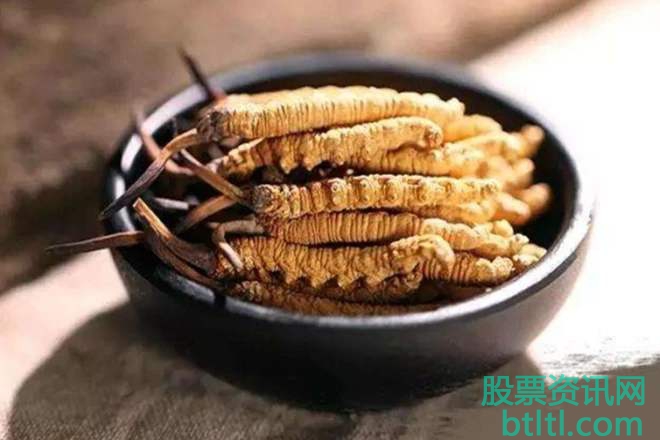 2020年冬虫夏草概念股有那些?冬虫夏草龙头股排名