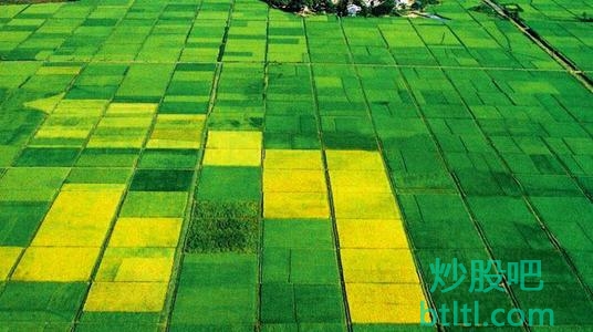 2021年农业供给侧改革概念股有那些?农业供给侧改革龙头股一览及排名