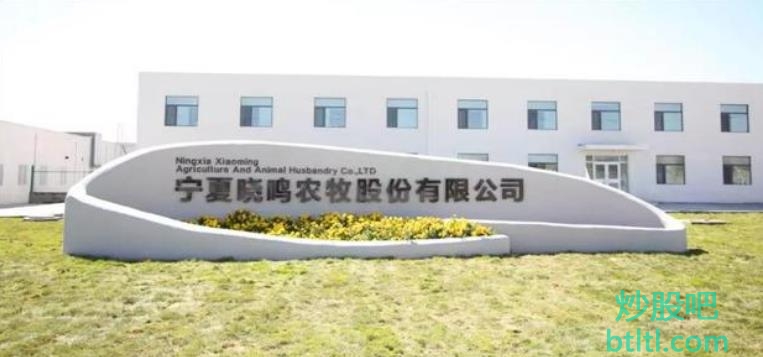 晓鸣股份新股申购